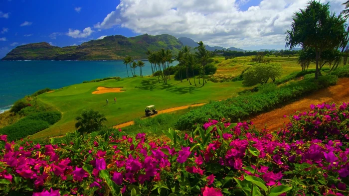 grass covered mountain nature landscape water trees sea 2k