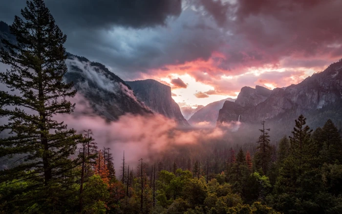 green leafed trees nature landscape forest mountains sunset 2k