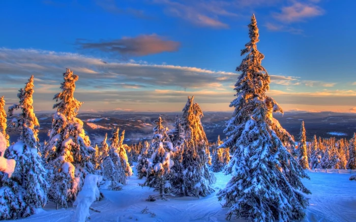 high resolution pictures of nature snow winter 2k
