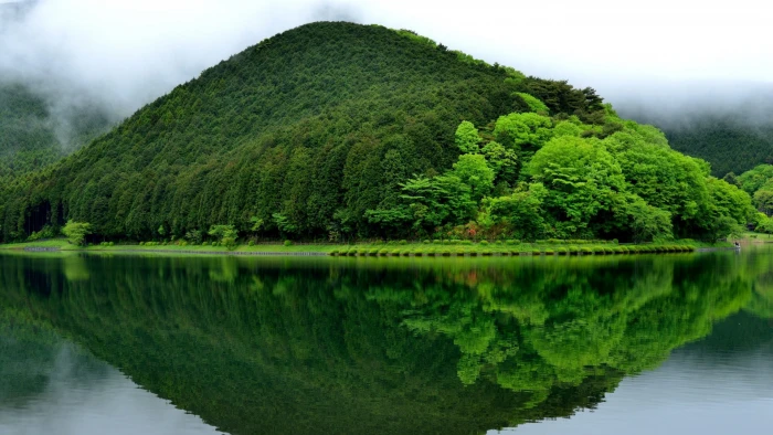 Lake landscape green trees fog nature photography mountain beside body of water 2k