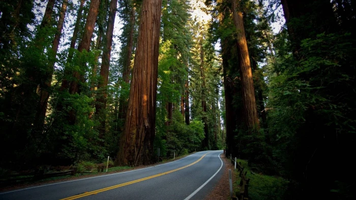 pc hd p nature 2k