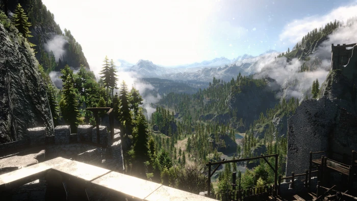 The Witcher 3 Wild Hunt mountain plant tree 2k