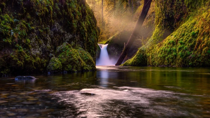 waterfalls with tress nature landscape trees forest lake 2k