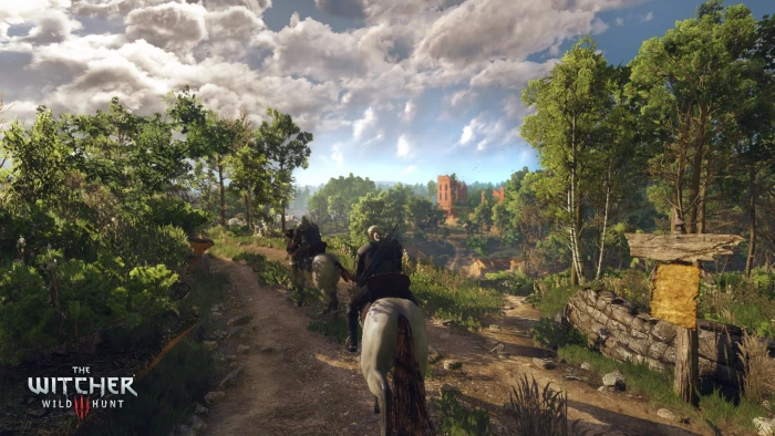 The Witcher Wild Hunt digital wallpaper 3 2k