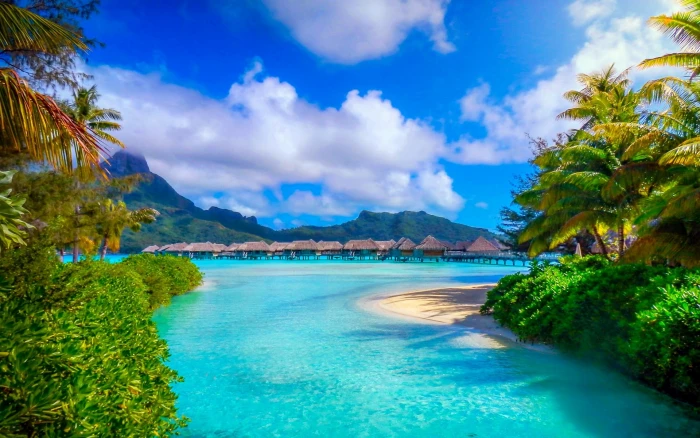 mountains sea beach island landscape palm trees tropical 2k