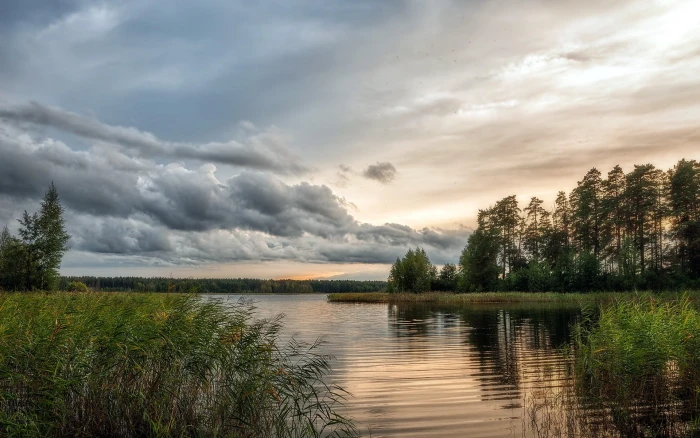 Nature beautiful scenery lake water trees cloudy sky 2k