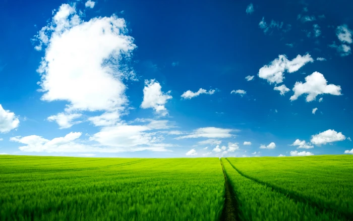 Summer Scenery HD nature landscape 2k