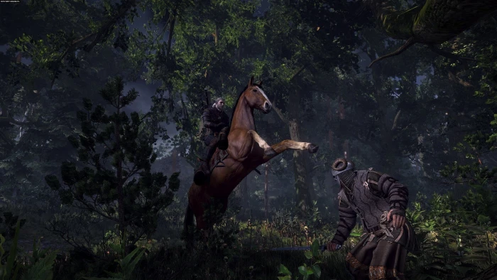 The Witcher 3 Wild Hunt 2k