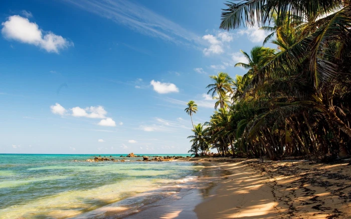 Tropical beach sand palm trees rocks sea 2k