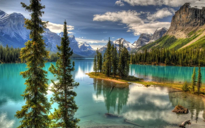 green leafed trees nature Maligne Lake island mountains pine 2k