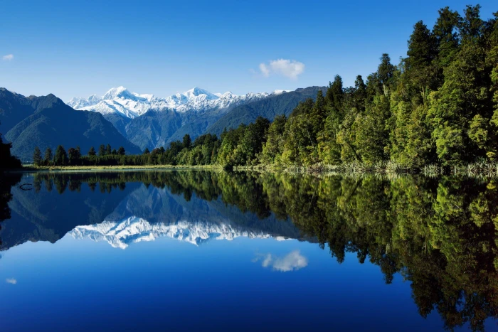 trees beside body of water under blue sky wallpaper landscape 2k