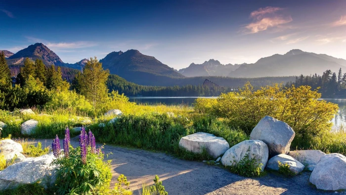 tree europe slovakia high tatras strbske pleso mountain range 2k
