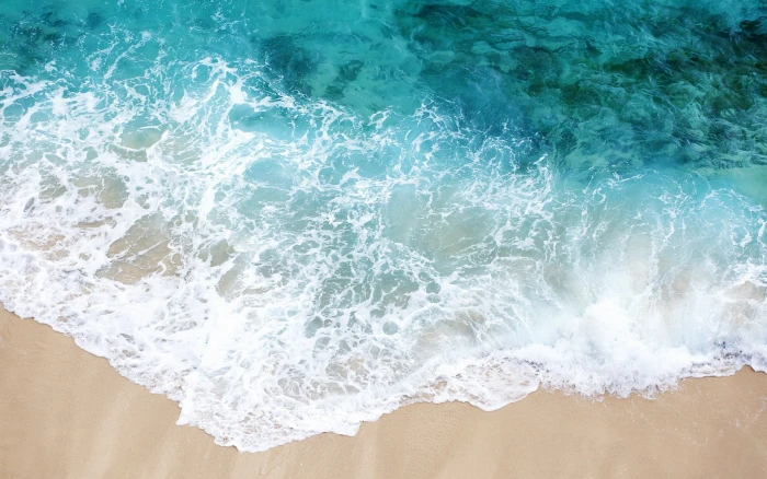 Beach side of the waves 2k