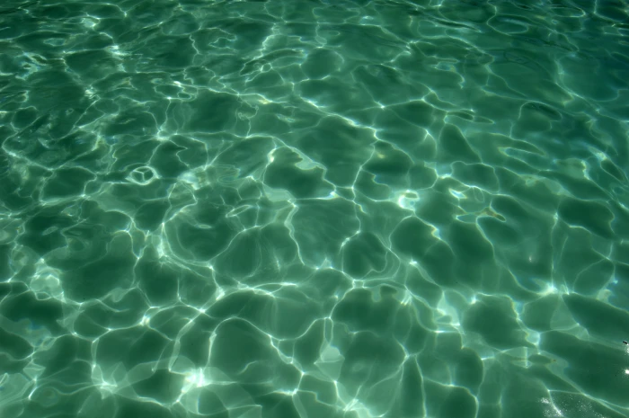 green clear body of water sea nature photography 2k