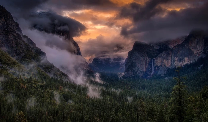 green forest trees nature landscape mountains clouds mist 2k