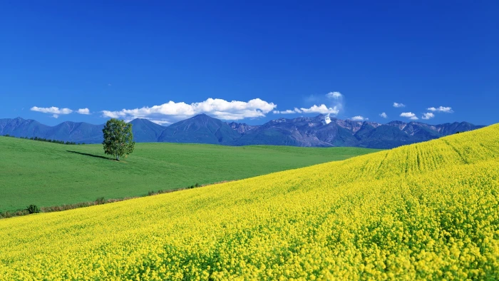 hd image of nature for pc 2k