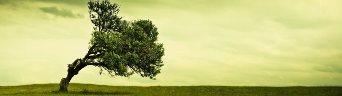 nature landscape dual screen 2k 4k