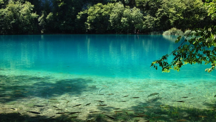 nature water shore landscape sea lake coast sky summer 2k