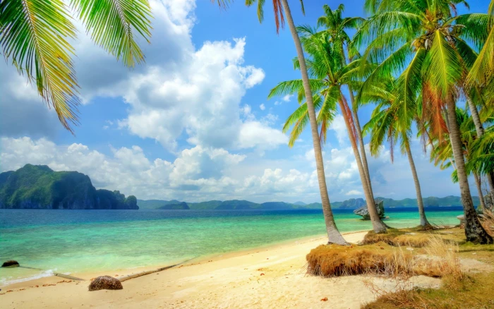 Tropical coast beach sea blue palm trees clouds 2k