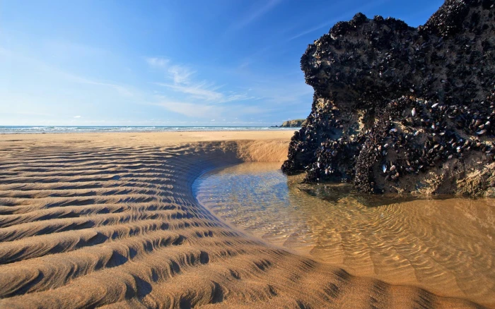 nature sand water beach sea land sky scenics 2k
