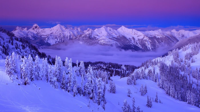 purple clouds snow winter mountains trees sky nature landscape capped mountain 2k