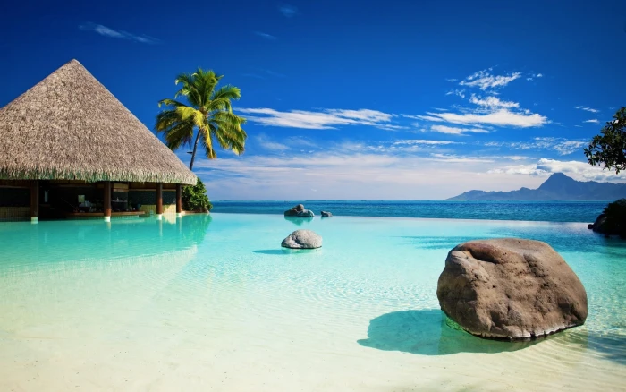 beach tropical palm trees water sea sky beauty in nature 2k