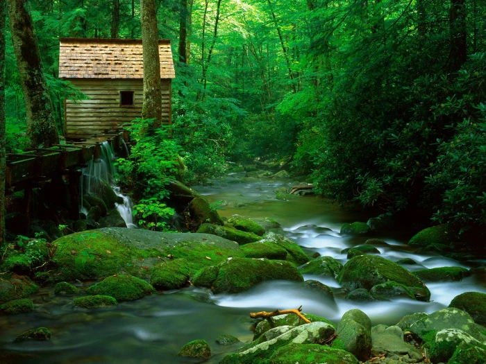 Great Smoky Mountains brown wooden house near river wallpaper 2k