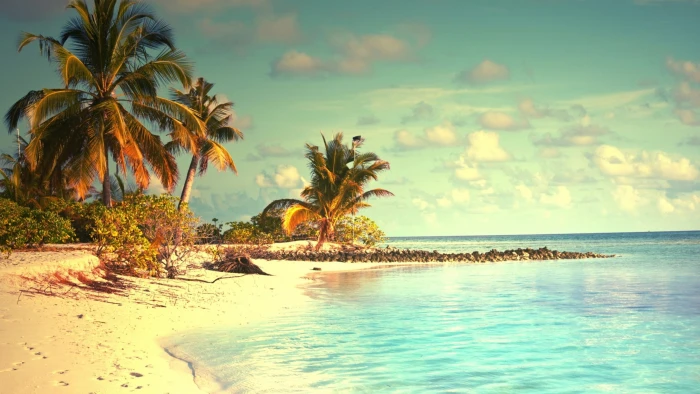 green beach palm trees tropical sky water beauty in nature 2k