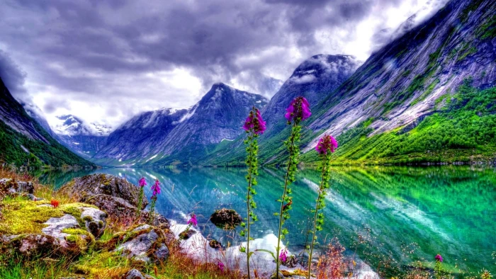 Natural Landscape River Valley Flowers Sky Mountain Picture For Desktop Hd Wallpaper Pc Tablet Mobile 2k
