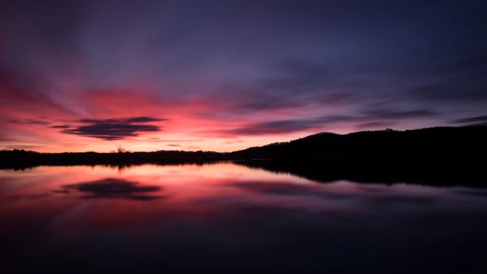 silhouette of trees near body water during golden hour Sunrise 2k 4k 5k