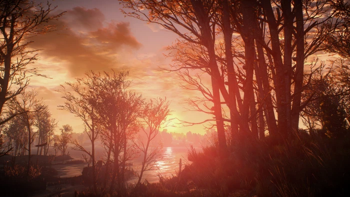 The Witcher 3 Wild Hunt video games tree plant sunset 2k