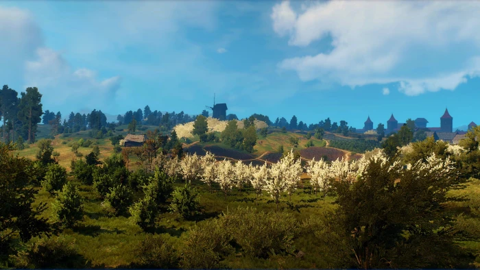 The Witcher 3 Wild Hunt 2k