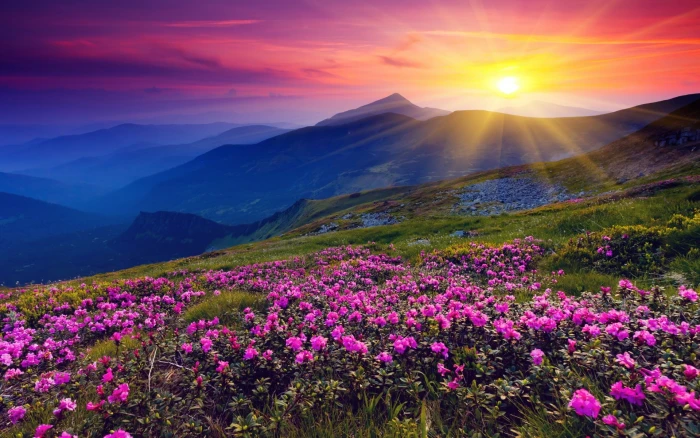 windows backgrounds nature for pc beauty in 2k