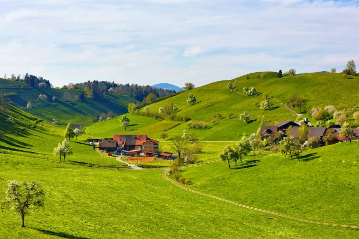 green grass field nature landscape hills trees house clouds 2k