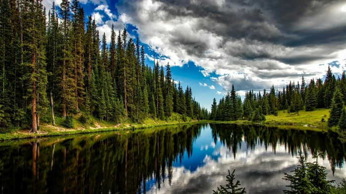 mount scenery calm forest lake fir national park 2k