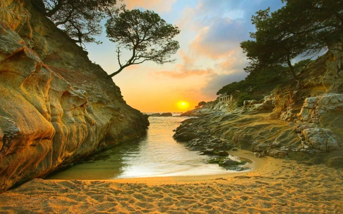 nature landscape beach sand trees rock coast sea beauty in 2k