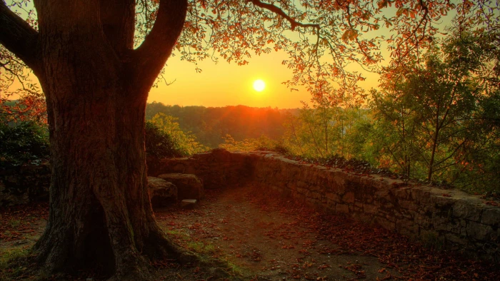 nature sun sunset landscape sky sunrise silhouette clouds 2k