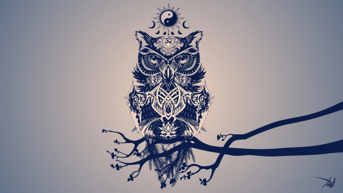 owl digital wallpaper painting of minimalism art 2k 4k