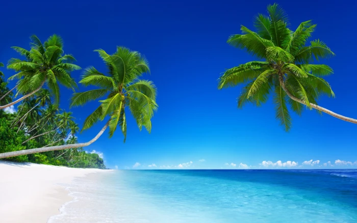 Tropical beach paradise Hot summer Photo Wallpaper blue body of water 2k
