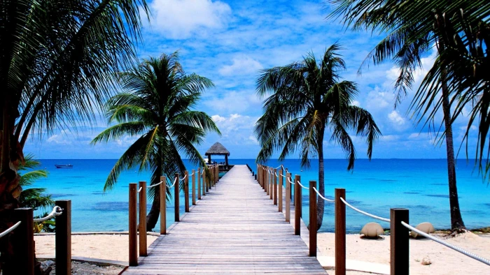 Tropical Beach Pier palm trees ocean nature and landscapes 2k