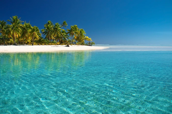 water beach cook islands the island palm trees pacific ocean sea Nature Beaches HD Art 2k