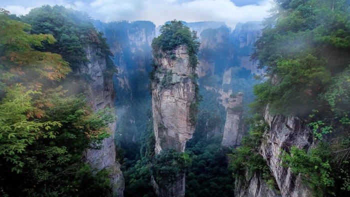 green leafed plants nature landscape mist national park mountains 2k