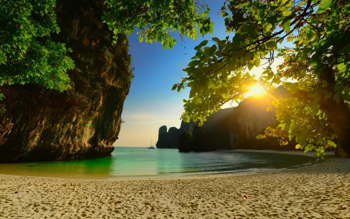 green leafed plants white seashore near rock formation under leaf tree at golden hour 2k