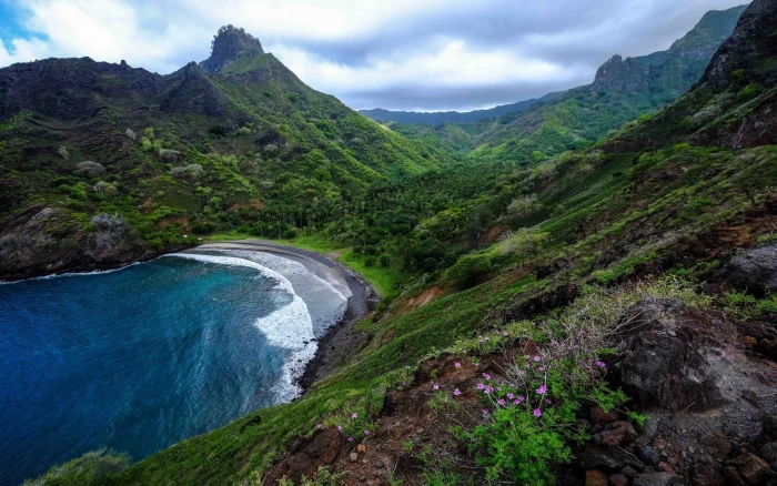 green leafed trees nature landscape beach mountains island 2k