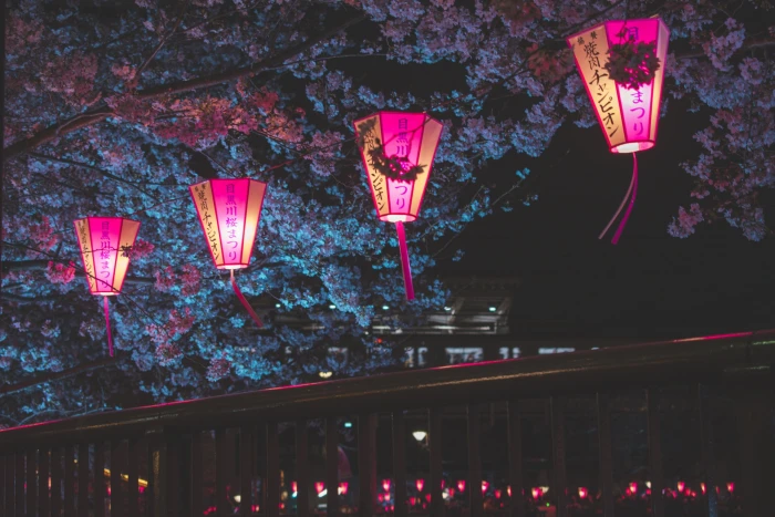 Japan night Tokyo cherry blossom lantern urban nature 2k