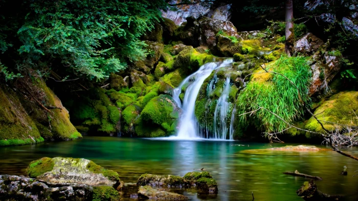nature landscape waterfall tree beauty in scenics 2k