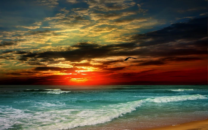 Sunset beach sea waves tropical clouds bird 2k