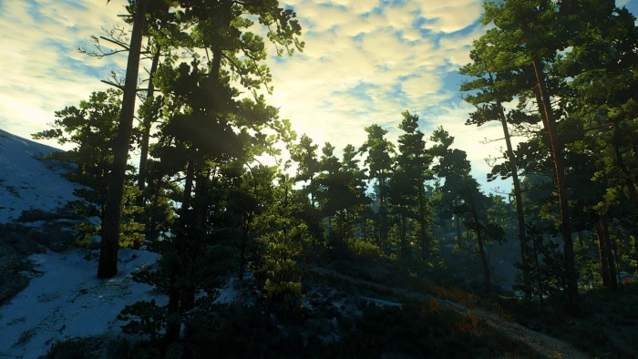 The Witcher 3 Wild Hunt 2k