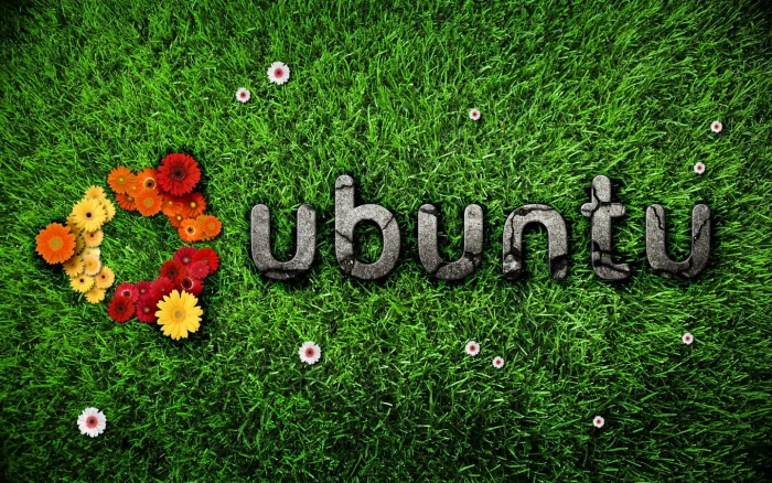 Ubuntu Nature Linux grass digital wallpaper Computers