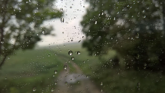 autumn window rain drops nature 2k 4k